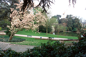 A park in Angers, France