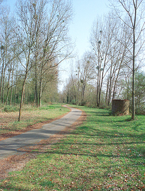 Bike Path near Nantes, France