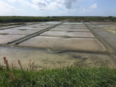 Salt Flats Guerlande