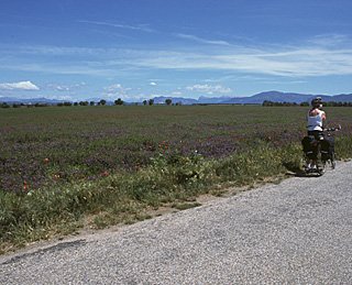 Alps from after Manosque